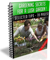 Gardening Secrets For A Lush Garden