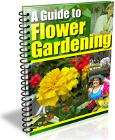 A Guide to Flower Gardening